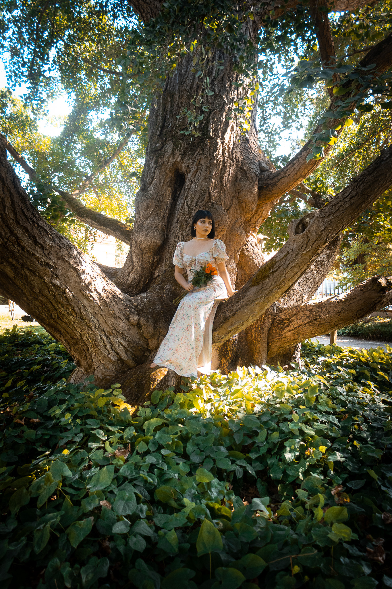 Séance dans les arbres en pleine lumière, extérieur 2024