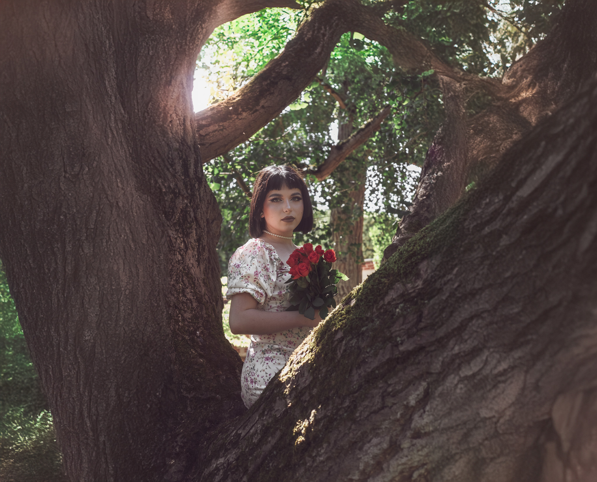 Séance évasion dans les arbres, extérieur 2024